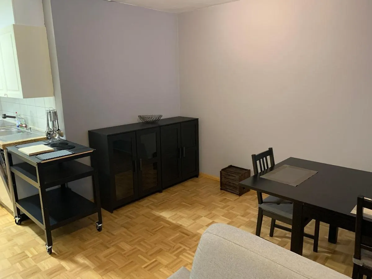 Appartement Xl City Center Apartment-Contactless Check-In Bâle Suisse