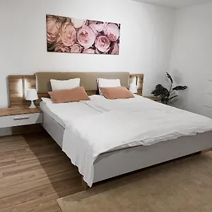 Eine Schoene Im Herzen Von Basel. Appartement