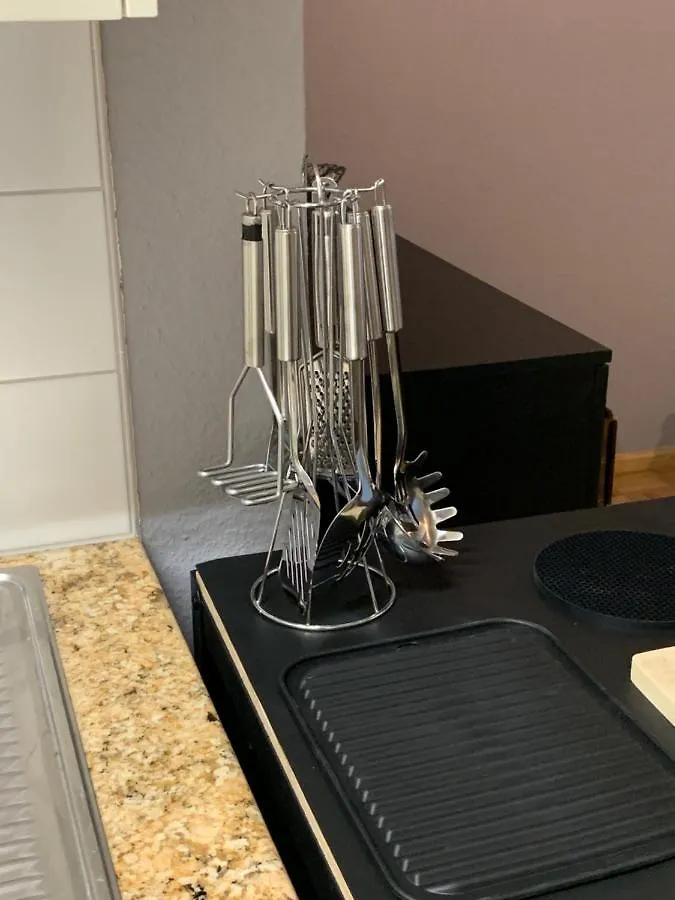 Xl City Center Apartment-Contactless Check-In Bázel