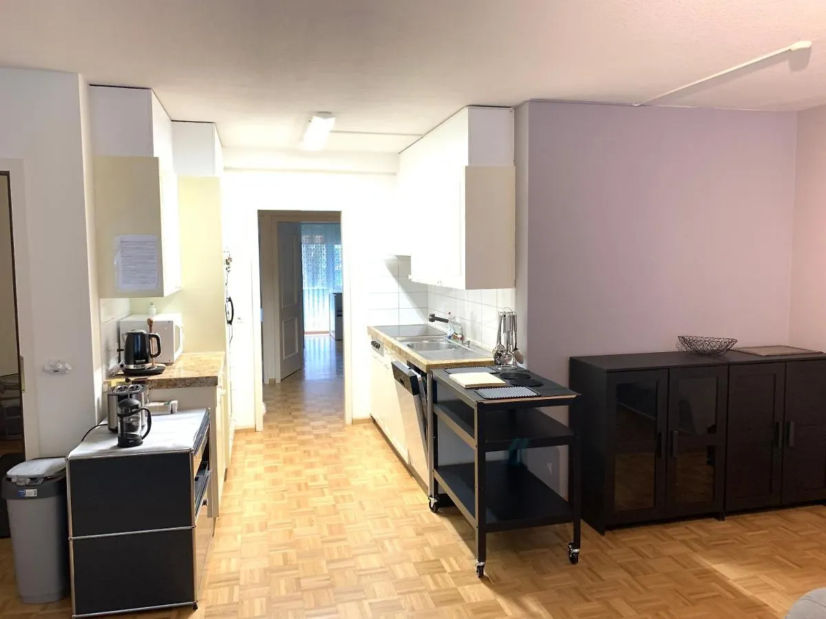 Xl City Center Apartment-Contactless Check-In Basel Apartment