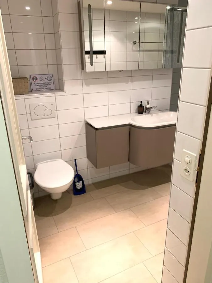 Xl City Center Apartment-Contactless Check-In Basel 0*,